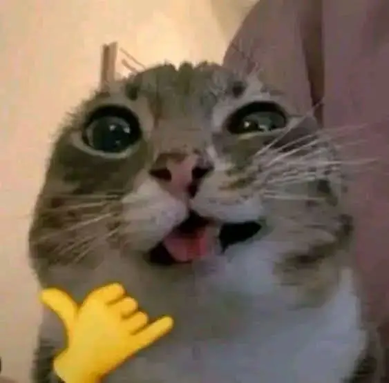 Cah jonggol