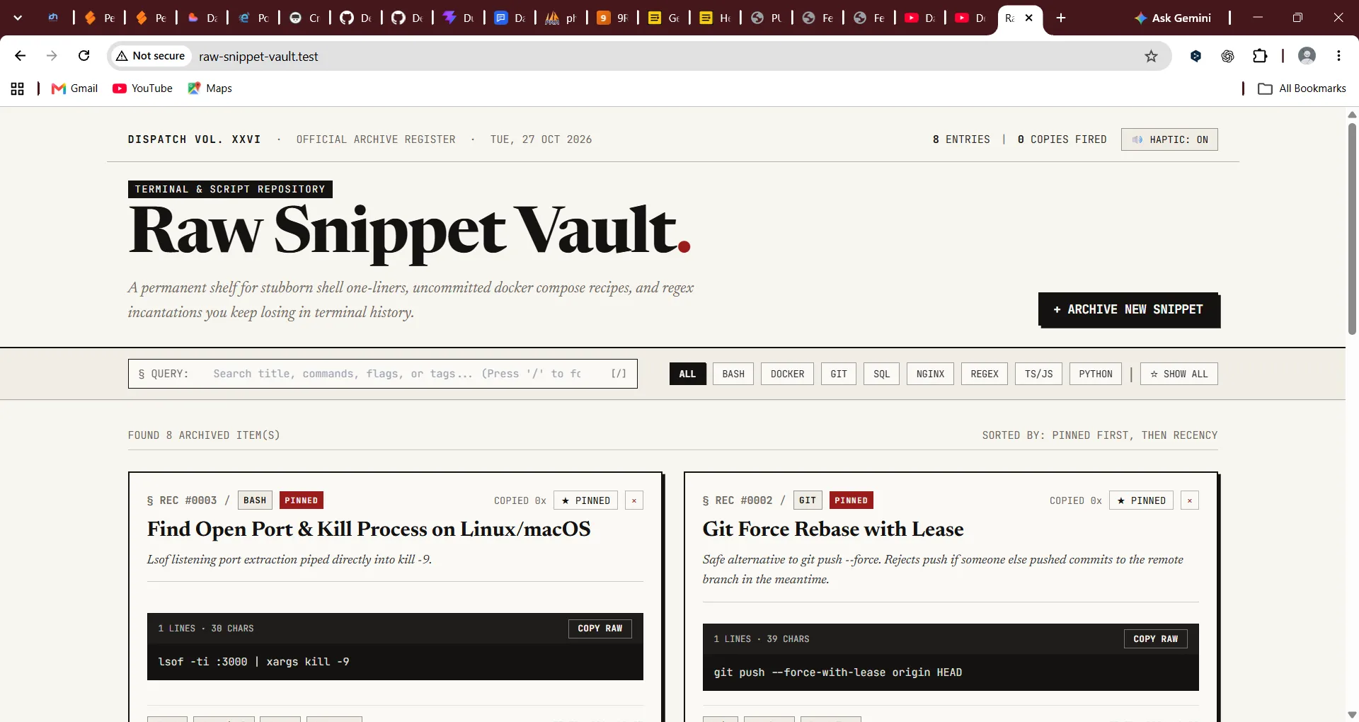 Raw Snippet Vault